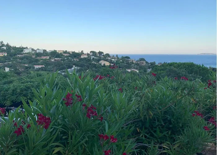 Provencale Avec Vue Panoramique