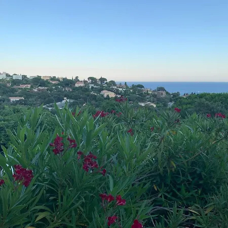 Provençale Avec Vue Panoramique